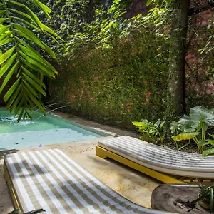 https://barahona-446.cartagena-hotels.org